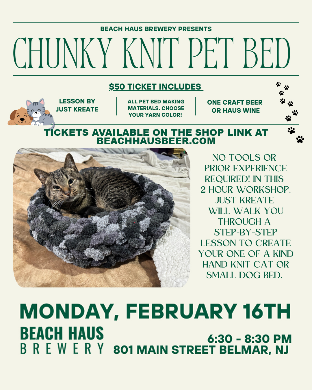 Chunky Knit Pet Bed Workshop